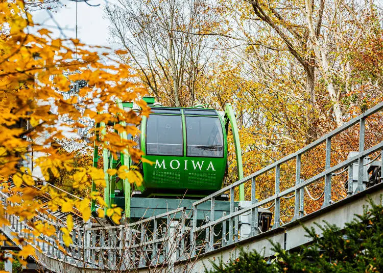 삿포로 단풍 명소