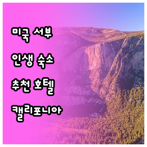 미국 캘리포니아 호텔 추천! 레이크 ..