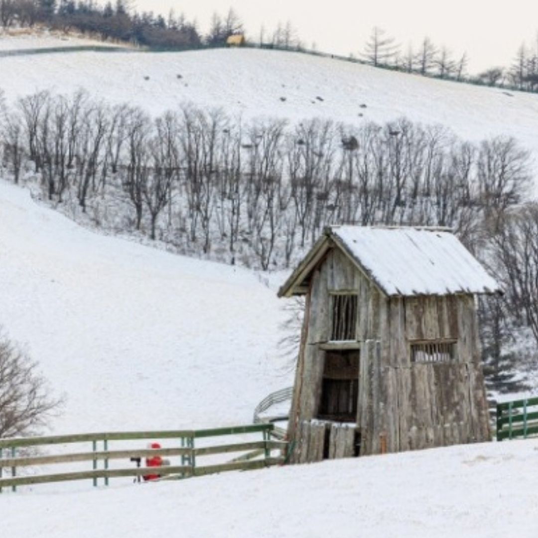 겨울에/꼭/가봐야/하는/여행지/강원도/평창