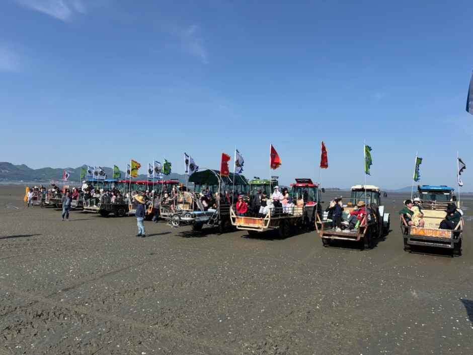 하전바지락 오감체험 페스티벌