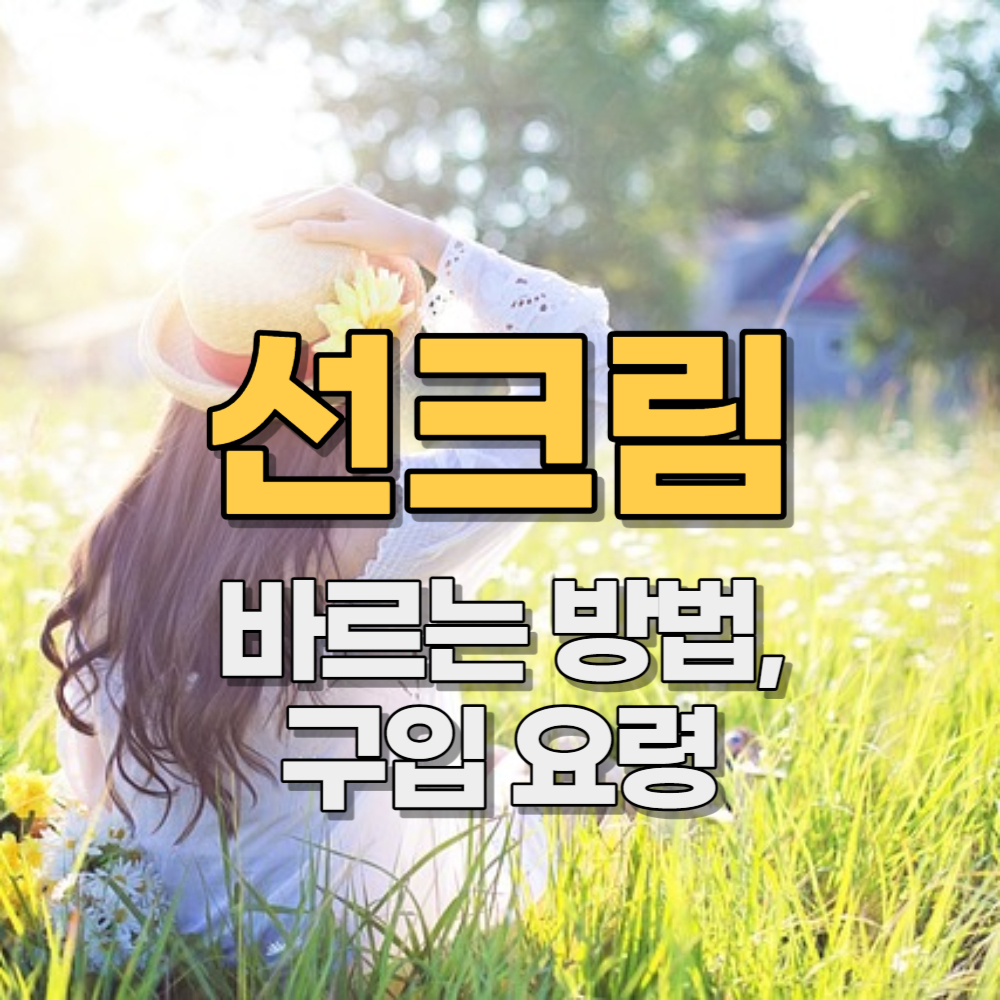 선크림 바르는 방법, 제품 고르는 요령