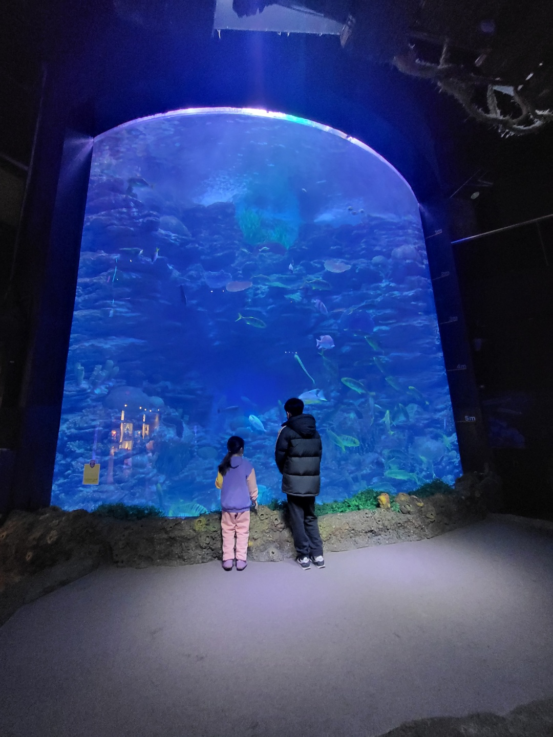부산 아쿠아리움