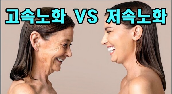 고속노화 VS 저속노화