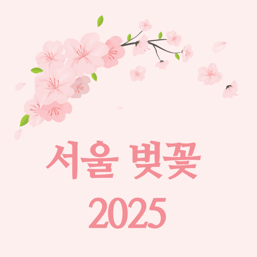 서울 벚꽃 개화시기 2025|만개시기 & 축제 명소 총정리