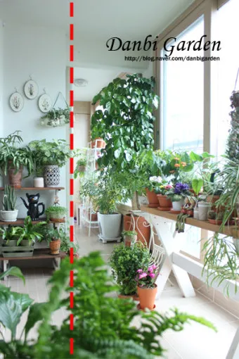 겨울 월동 준비 보온자재 덮개 동해 예방 물주기 조절_21