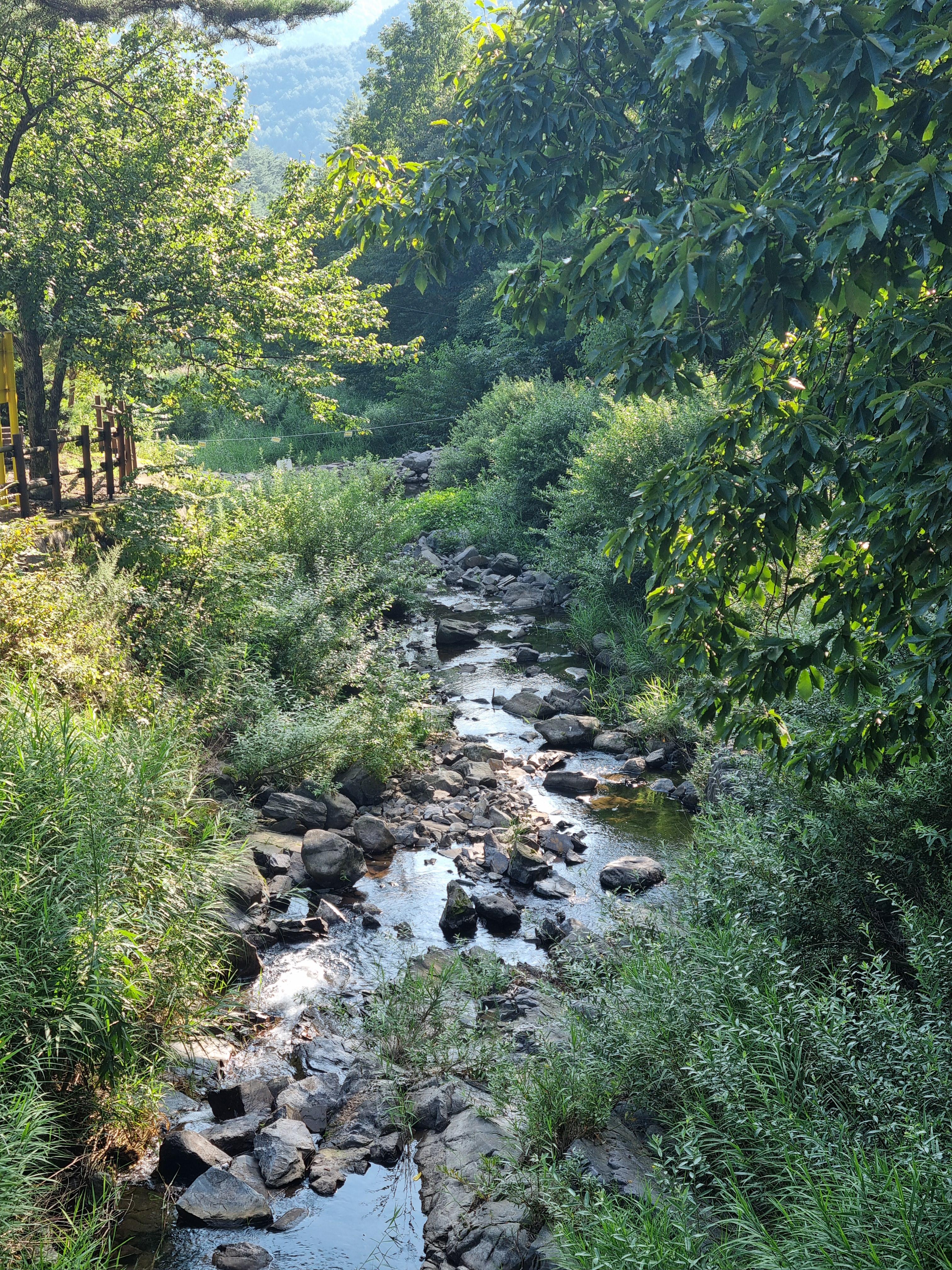 두타산자연휴양림 계곡