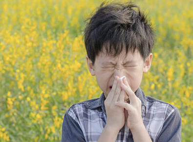 축농증 증상 치료방법 축농증에 좋은 음식 등 총정리(최신)