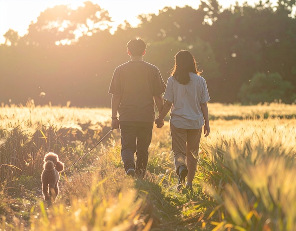 반려견과 함께하는 고창 청보리밭 산책