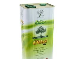 올리브 오일 효능