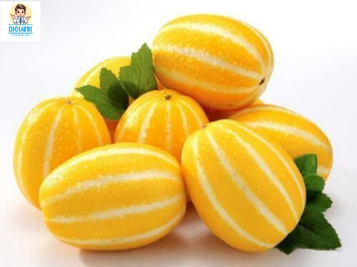 참외 항산화 효과