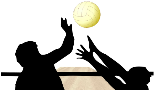 세계적인 배구 대회 및 역사