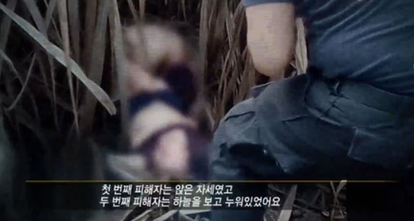 박왕열 사탕수수밭