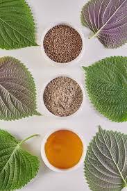 들깨 파종 시기, 이대로만 하면 풍성한 수확!