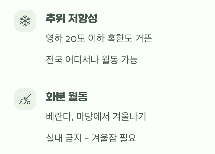 혹한에도 끄떡없는 강인한 생명력