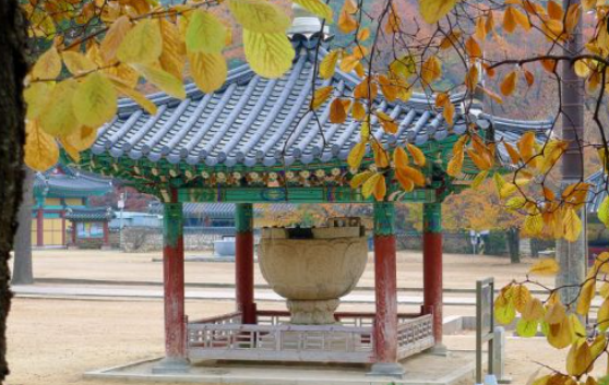 2025 속리산 단풍 절정시기 &amp; 등산지도 ❘ 추천 등산코스 최신 업데이트