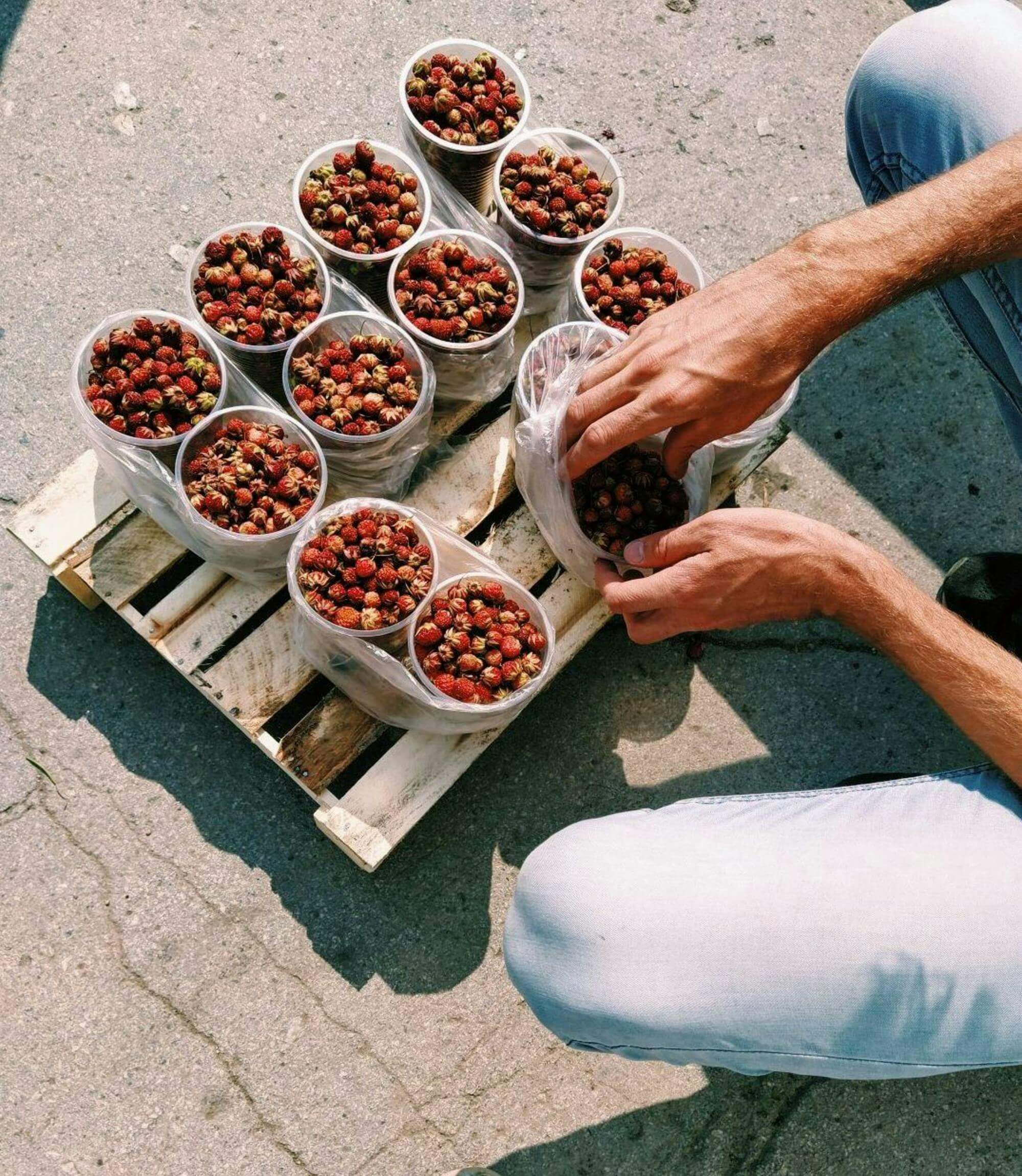 2025 농식품 바우처 신청 