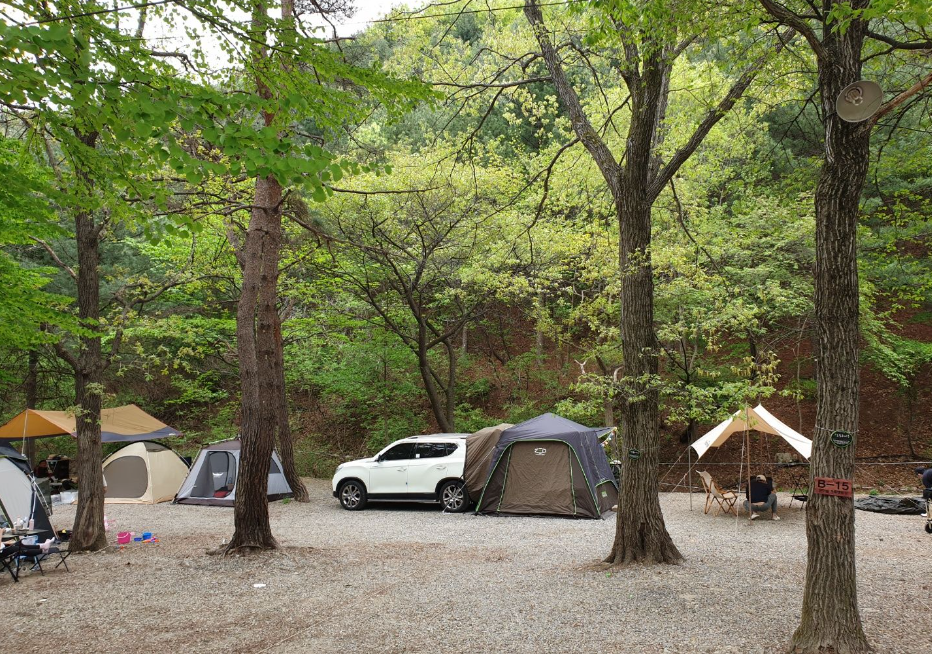 경기-용인-은이골가족캠핑장-사진-입니다.