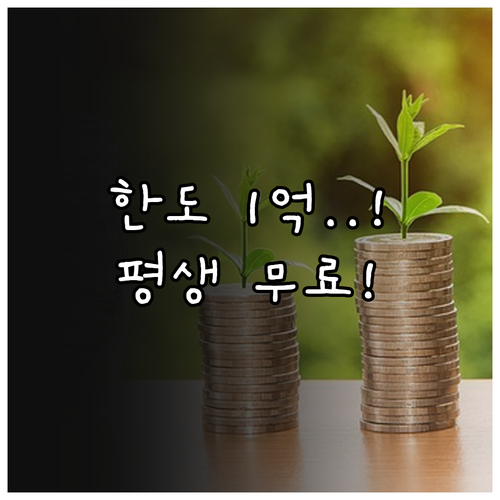 카카오페이 송금 한도 증액 1억 수수..