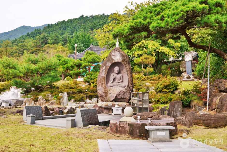 보타사