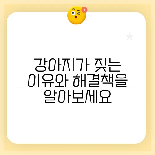 강아지가 짖는 이유와 해결책을 알아보세요