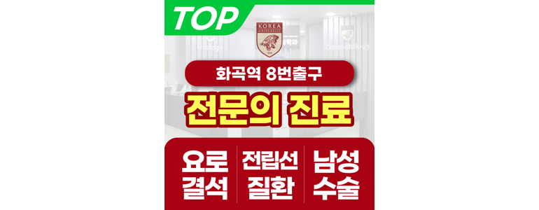 서울 강서구 요로결석 병원