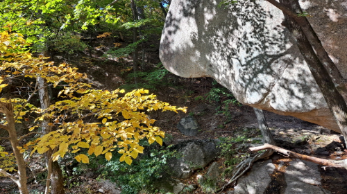 설악산_단풍여행_총정리