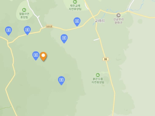 제주도 사려니 숲길