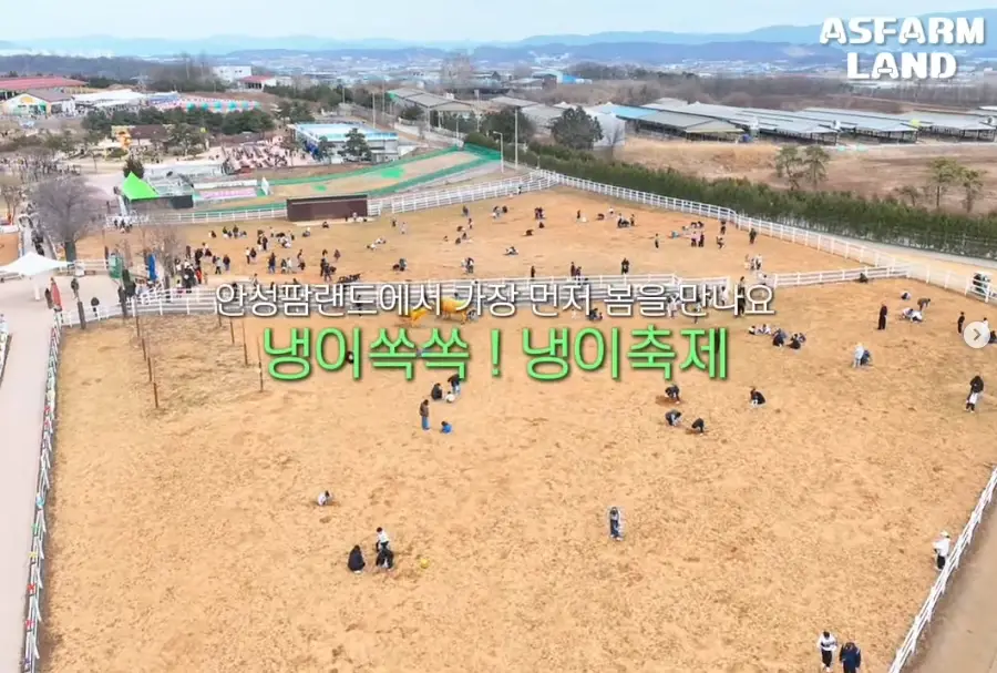 안성팜랜드-입장료-승마센터-파라다이스독-요금