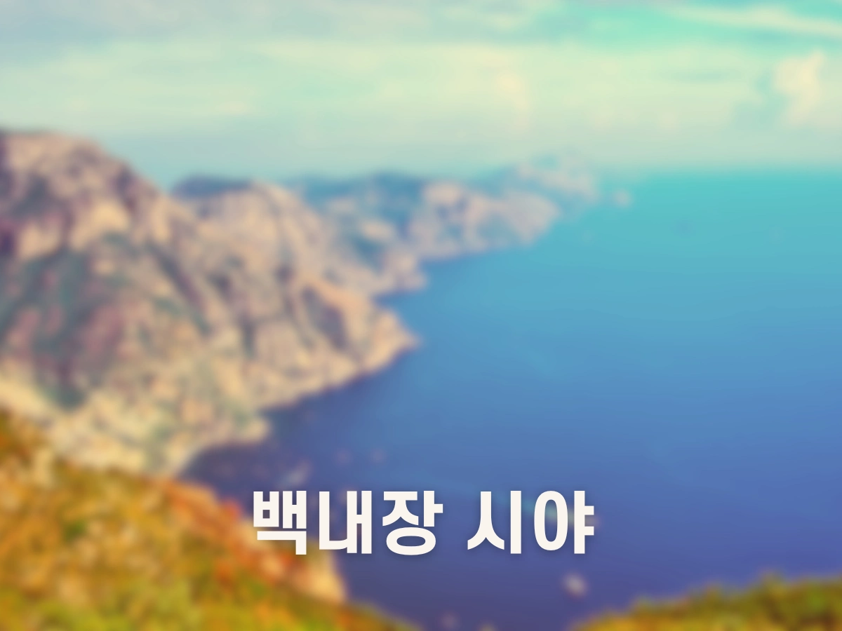 백내장 시야