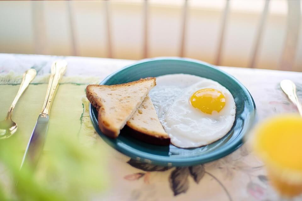 하루 단백질 섭취량 계산법