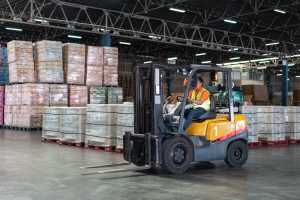 자격증 종류 5가지