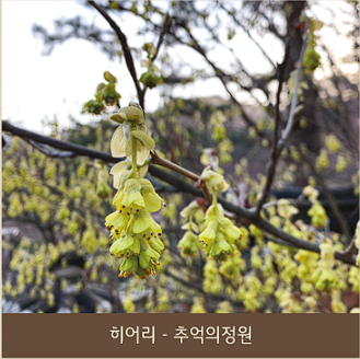 화담숲 예약 모노레일