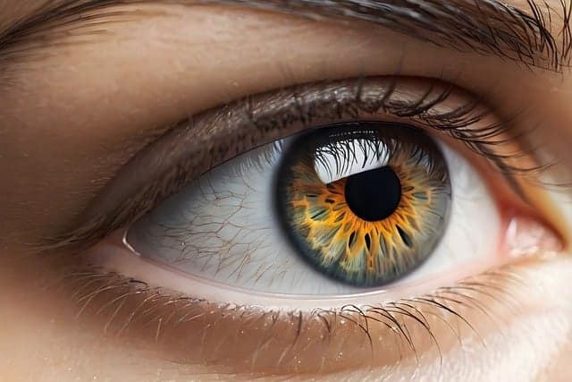 당뇨 합병증의 종류와 증상, 관리 방법