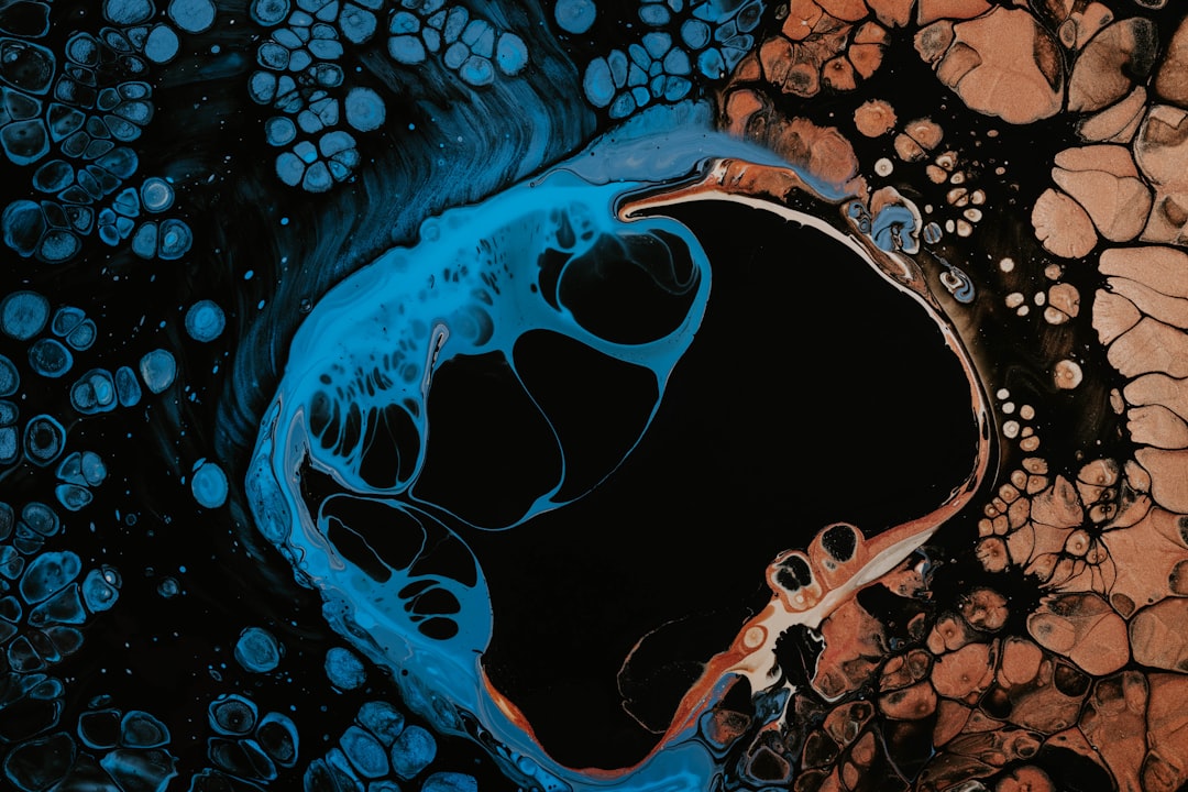 Fetal heart