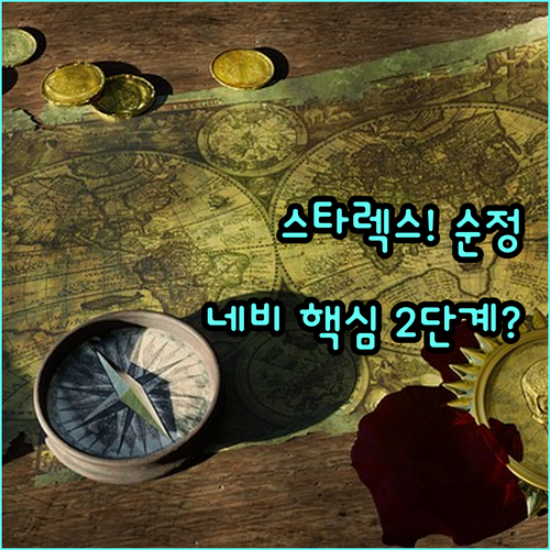 그랜드 스타렉스 순정 네비 업데이트 ..