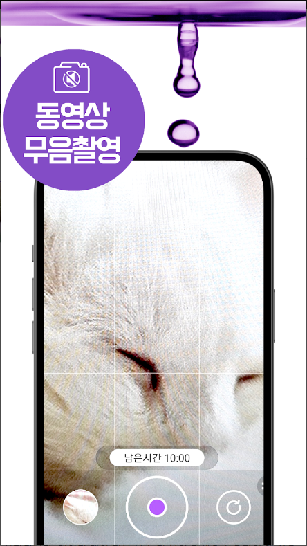 무음 카메라 어플, 무음으로 사진 찍기