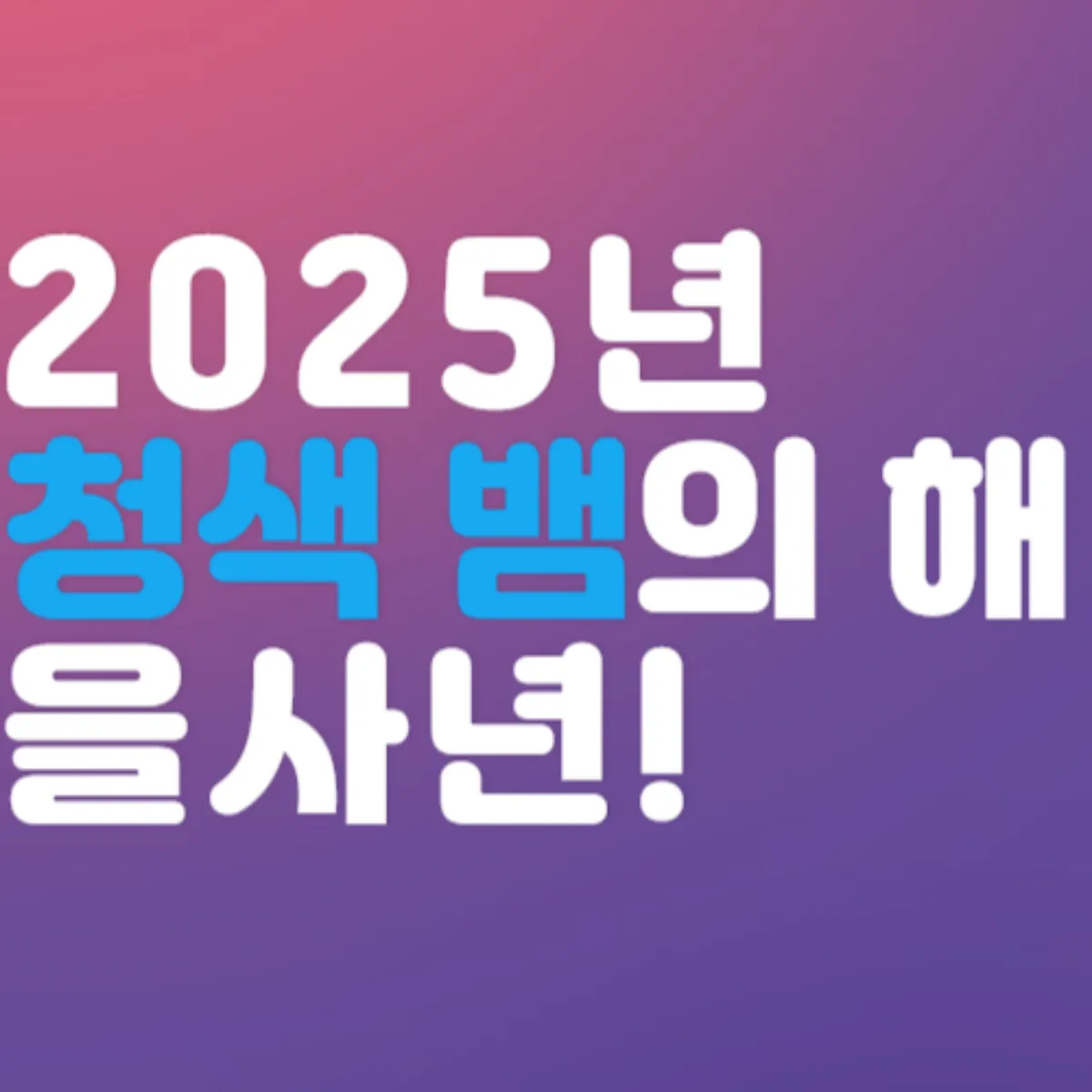 2025년 청색 뱀의 해, 을사년