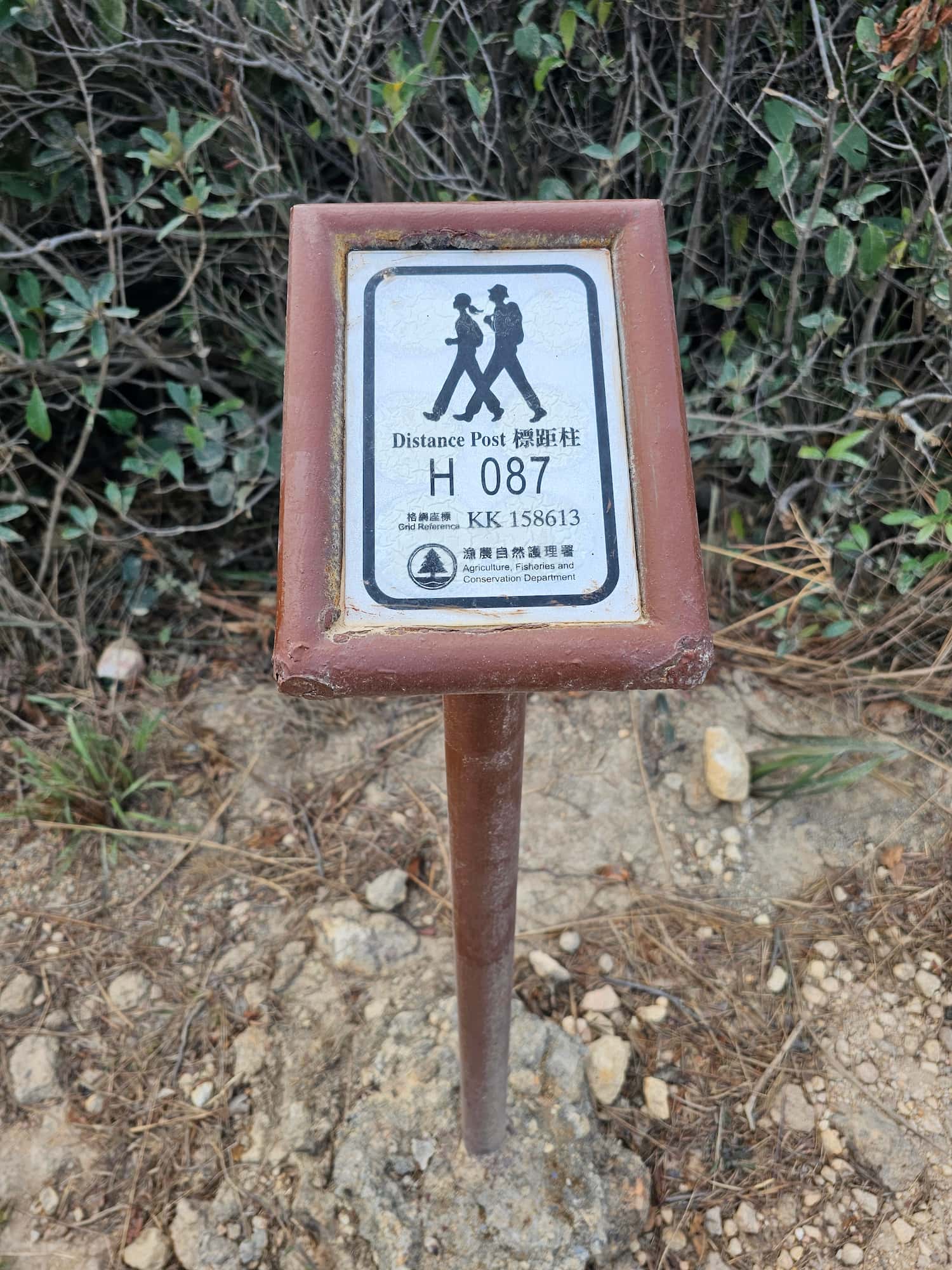 드래곤즈 백 후기