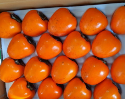 대봉감 10kg 가격, 대봉감 수확시기와 효능