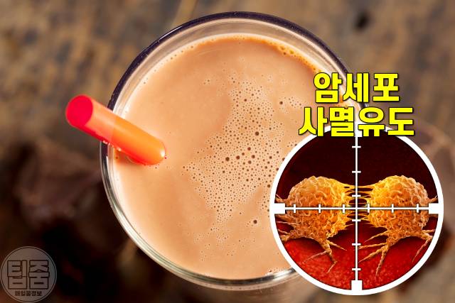 코코아 효능,코코아가루 효능,암세포 억제 음식