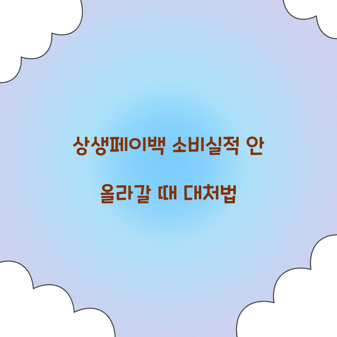 상생페이백 소비실적 안 올라갈 때 대처법