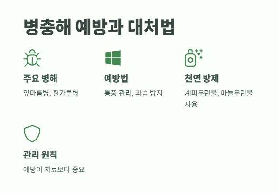 수국 키우는법 초보자도 쉽게 6