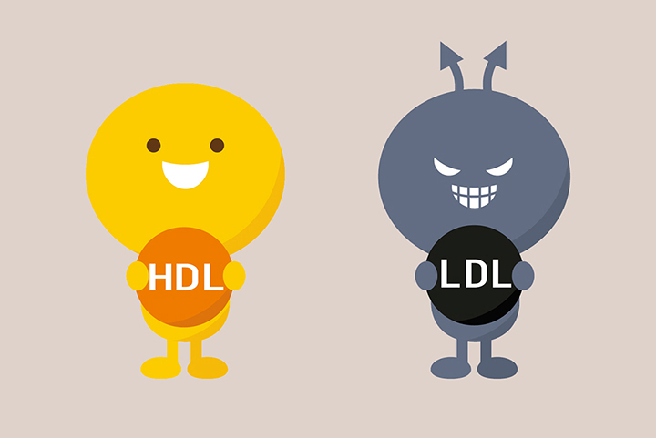 혈관-건강-개선-및-콜레스테롤-조절