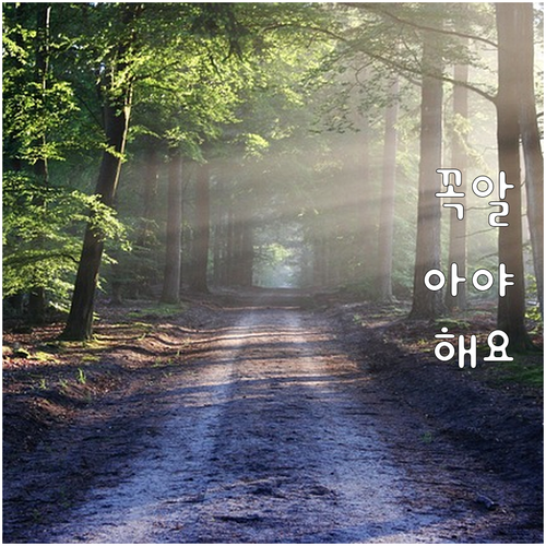 2025 강릉시 급수공사비 지원 저소..