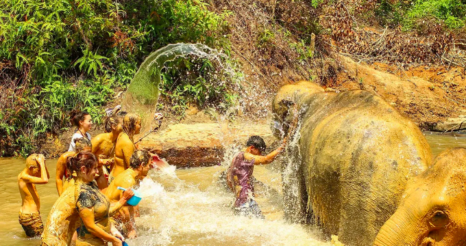 코끼리와 함께 머드 스파