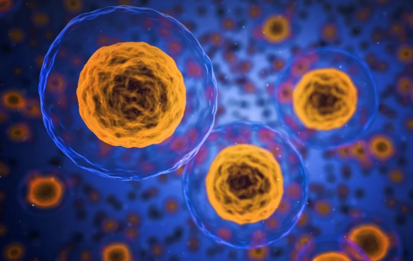 세포 노화(Cellular Senescence)와 암 전이 간의 상관관계