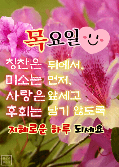 철쭉 배경 위에 지혜로운 관계와 인생에 대한 명언이 담긴 목요일 인사