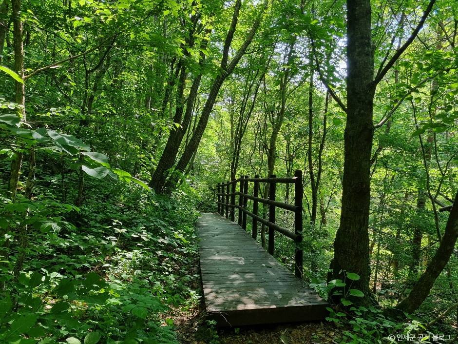 점봉산 곰배령 등산코스