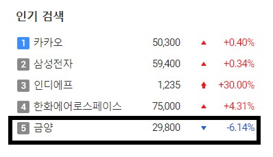 다음 종목 순위