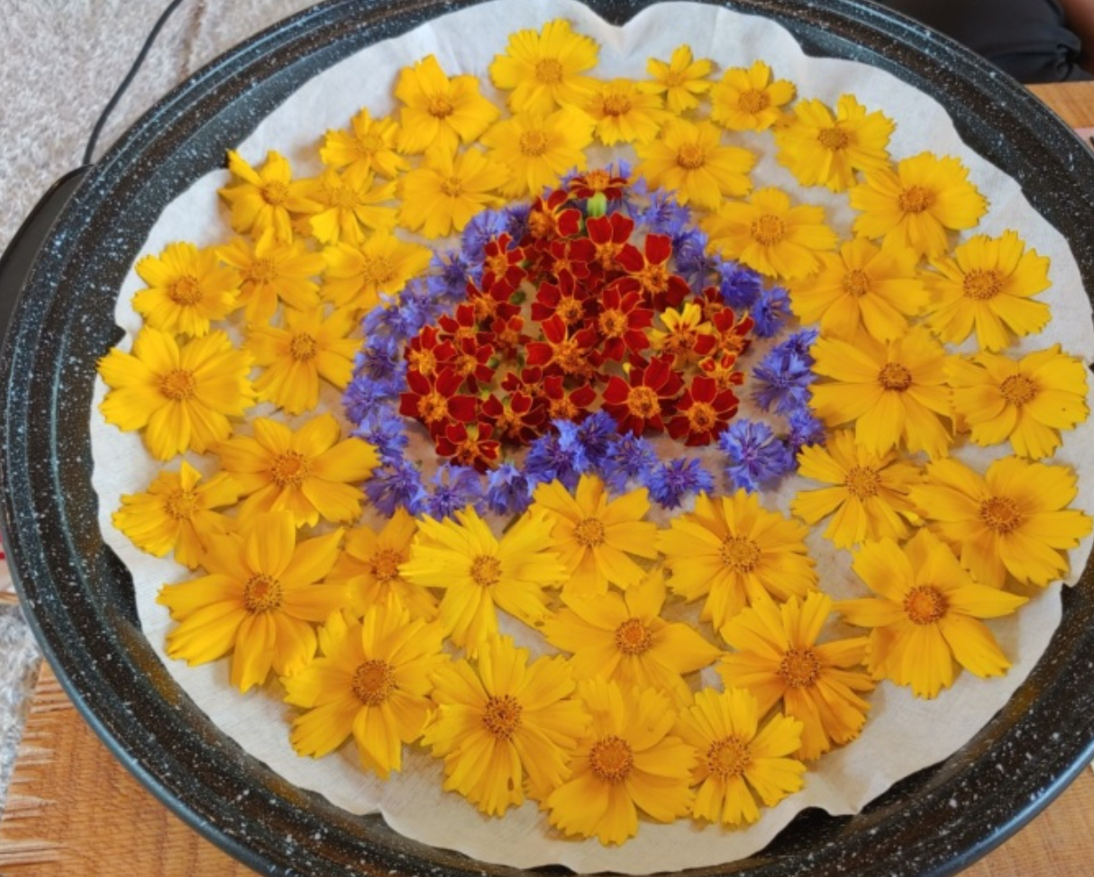 제인꽃차교육농장